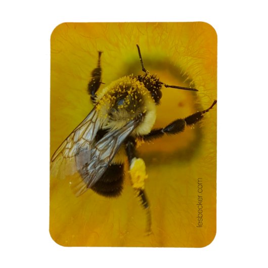 Magnet Flexible Abeille recouverte de pollen (Vertical)