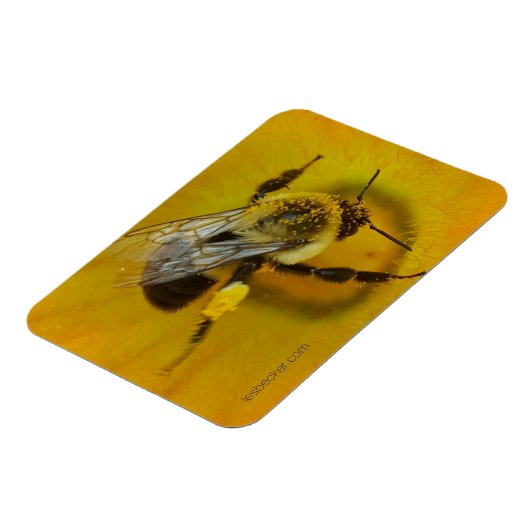 Magnet Flexible Abeille recouverte de pollen (Côté Gauche)
