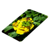 Magnet Flexible Abeille sur Fleurs Jaunes (Côté Gauche)