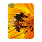Magnet Flexible Abeille sur une fleur (Vertical)