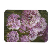 Magnet Flexible Abeilles d'été 2014 (Horizontal)