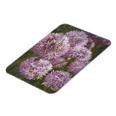 Magnet Flexible Abeilles d'été 2014 (Côté Gauche)