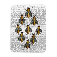 Abeilles médiévales 2