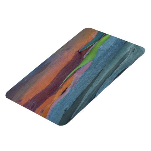 Magnet Flexible Abstract de Rainbow Gum Tree (Côté Gauche)
