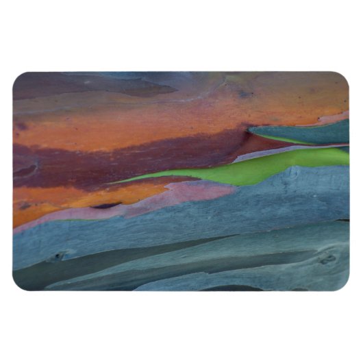 Magnet Flexible Abstract de Rainbow Gum Tree (Horizontal)