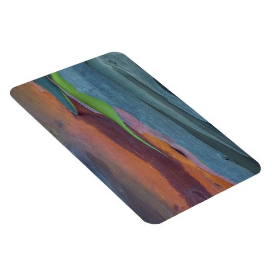 Magnet Flexible Abstract de Rainbow Gum Tree (Côté Droit)