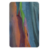 Magnet Flexible Abstract de Rainbow Gum Tree (Vertical)
