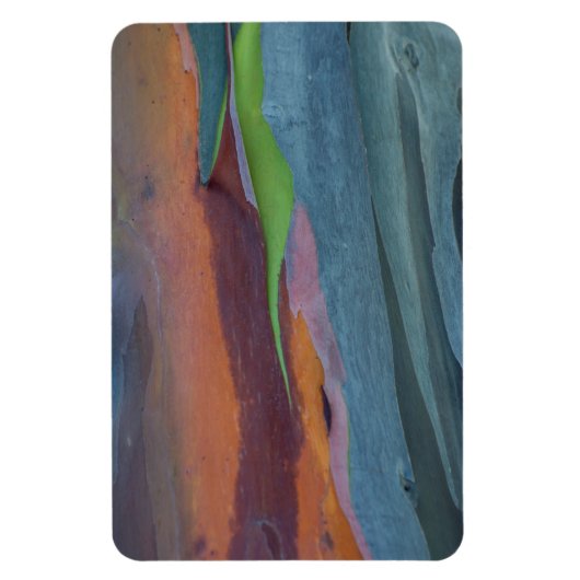 Magnet Flexible Abstract de Rainbow Gum Tree (Vertical)