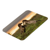 Magnet Flexible Accélération des chevaux sauvages aimant rectangul (Côté Gauche)