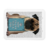 Magnet Flexible Accrocher un Carlin (Horizontal)