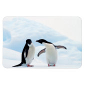 Magnet Flexible Adelie Penguins (Horizontal)