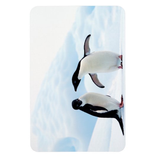Magnet Flexible Adelie Penguins (Vertical)