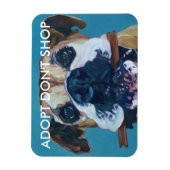 Magnet Flexible ADOPTER N'ACHETEZ PAS L'Aimant De Voiture (Vertical)