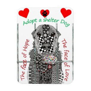 Magnet Flexible Adopter un Abri de chien de protection 3"x4"