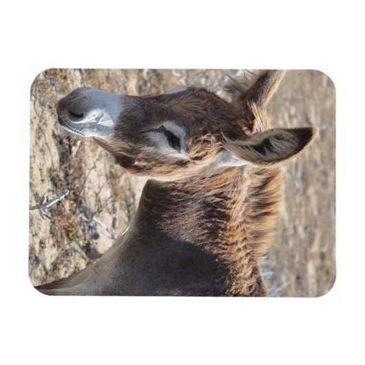 Magnet Flexible Adorable âne (Horizontal)