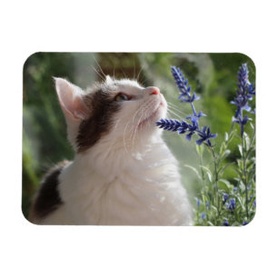 Magnet Flexible Adorable chaton d'amour dans le jardin