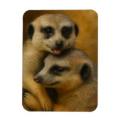 Magnet Flexible Affection de Meerkat (Vertical)