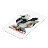 Magnet Flexible Afficher huit pilotes (Côté Gauche)