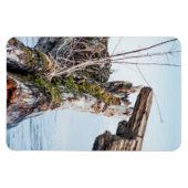 Magnet Flexible Afficher la boîte (Horizontal)