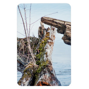 Magnet Flexible Afficher la boîte