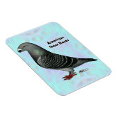 Magnet Flexible Afficher l'ASR racer (Côté Droit)