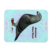 Magnet Flexible Afficher l'ASR racer (Horizontal)