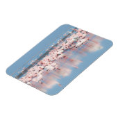 Magnet Flexible Africa, Namibie, Walvis Bay (Côté Gauche)