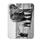Magnet Flexible African Elephant & Calves | Kenya (Vertical)