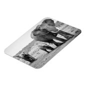 Magnet Flexible African Elephant & Calves | Kenya (Côté Gauche)