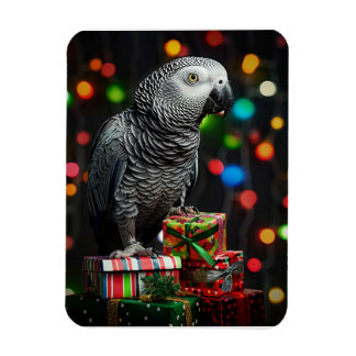 Magnet Flexible African Grey on Gifts — Festive Greeting Card