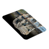 Magnet Flexible Afrique, Botswana, delta de l'Okavango, camp de Da (Côté Droit)