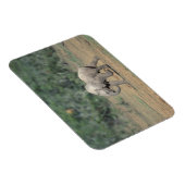 Magnet Flexible Afrique du Sud, Addo Elephant Nat'l Park. Bébé (Côté Droit)