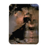 Magnet Flexible Afrique, Kenya, Masaï Mara. Hippopotame commun (Vertical)