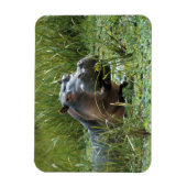Magnet Flexible Afrique, Kenya, Masai Mara NR. Une mère hippo (Vertical)
