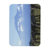 Magnet Flexible Afrique, Kenya, Parc national d'Amboseli, Herd de (Vertical)