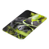 Magnet Flexible Afrique Ouganda, Bwindi (Côté Gauche)