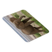 Magnet Flexible Afrique. Tanzanie. Éléphant au lac Manyara NP. (Côté Droit)