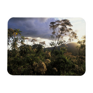 Magnet Flexible Afrique, Tanzanie, zone de conservation du Ngorong