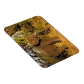 Magnet Flexible Afrique, Zimbabwe, Victoria Falls National Park. (Côté Droit)