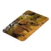 Magnet Flexible Afrique, Zimbabwe, Victoria Falls National Park. (Côté Gauche)