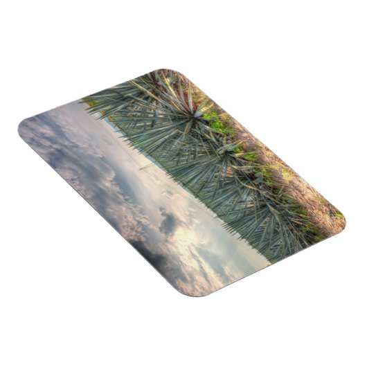 Magnet Flexible Agave bleue (Côté Droit)