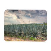Magnet Flexible Agave bleue (Horizontal)