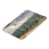 Magnet Flexible Agave bleue (Côté Gauche)