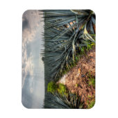 Magnet Flexible Agave Tequilana (Vertical)