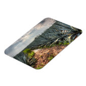 Magnet Flexible Agave Tequilana (Côté Gauche)