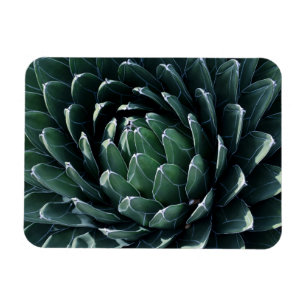 Magnet Flexible Agave vert