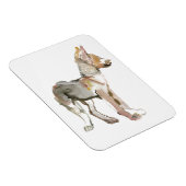 Magnet Flexible Agiter (Côté Droit)