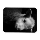 Magnet Flexible Agneau nouveau-né (Horizontal)