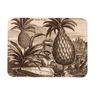 Magnet Flexible Agriculture de grands ananas, illustration d'un