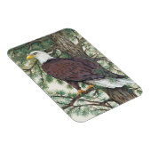 Magnet Flexible Aigle à tête blanche (Côté Droit)